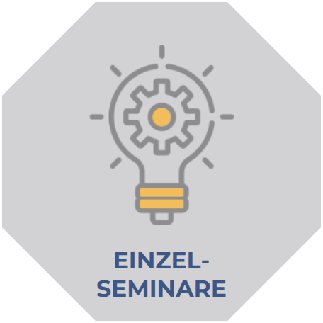 Icon Einzelseminare